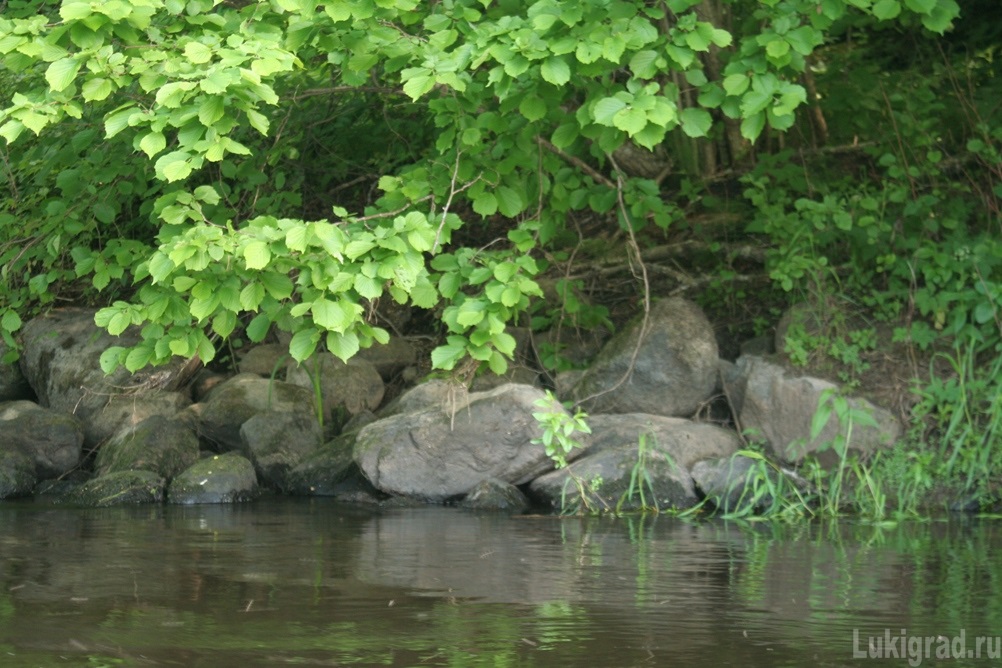 Берег, где стояла мельница. Берег, где стояла мельница.