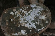Крышка от фляги с инициалами КАР. Пока установить, кому она принадлежала, не удалось.