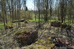 Остатки фундамента более поздней пристройки.