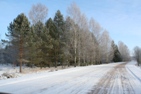 Современный вид.