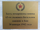 Братское захоронение в деревне Новосёлки Великолукского района.